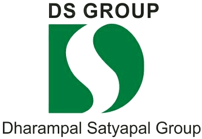 DS_Group_logo
